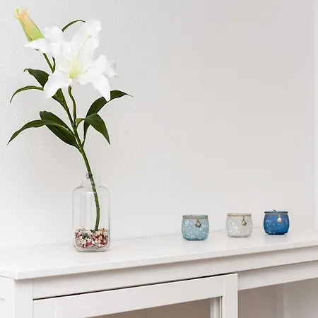 Haus Flinthörn Erdgeschoss Apartment